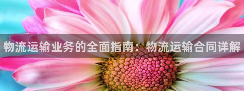 28圈麻将：物流运输业务的全面指南：物流运输合同详解