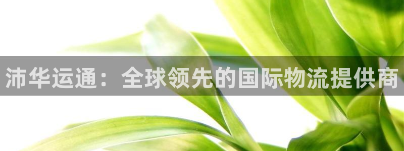 自行车28圈是什么意思：沛华运通：全