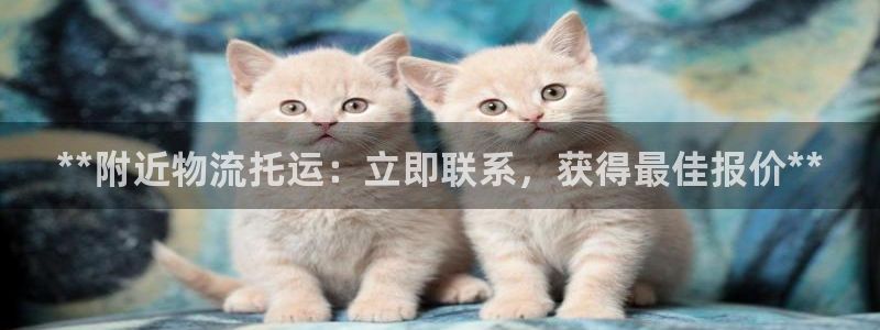 28圈预测网：**附近物流托运：立即