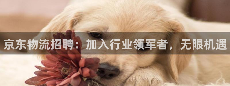 28圈app注册地址：京东物流招聘：