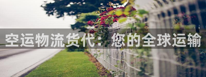 28圈充值方式：空运物流货代：您的全