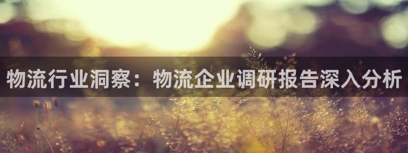 28圈下载不了：物流行业洞察：物流企业调研报告深入分析