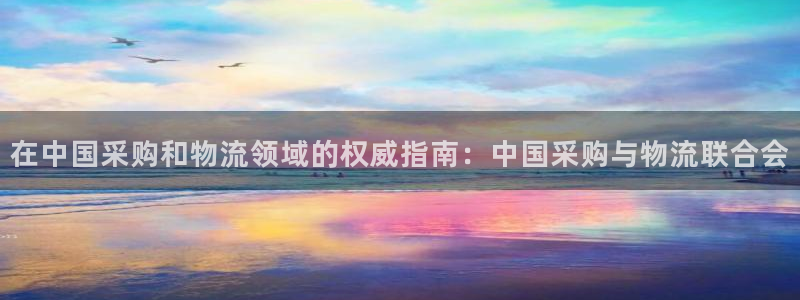 28圈赌博被抓：在中国采购和物流领域