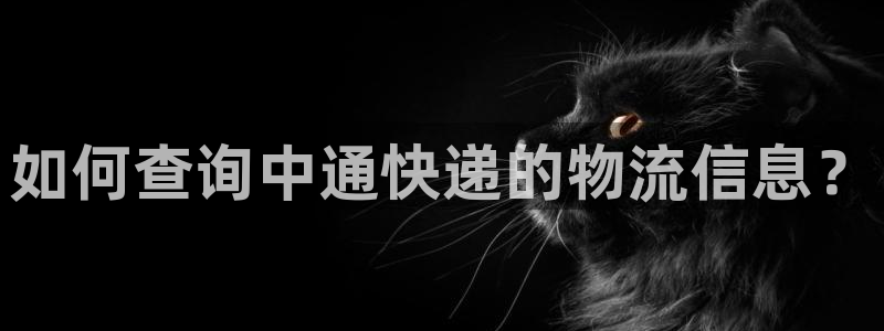 28圈软件是什么