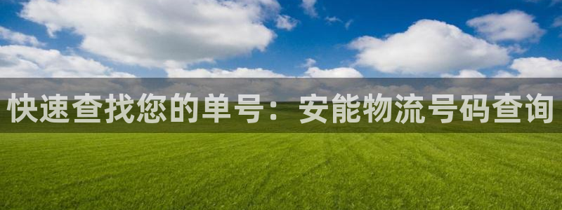 28圈里的财神