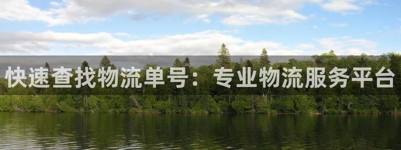 28圈代理落网