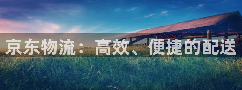 28圈可靠吗:京东物流:高效、便捷的