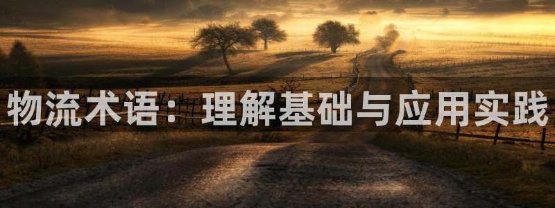 28圈推广链接是多少：物流术语：理解基础与应用实践