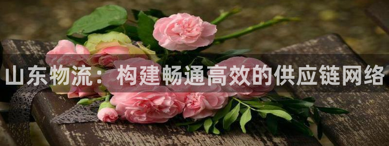 28圈是干嘛的:山东物流:构建畅通高