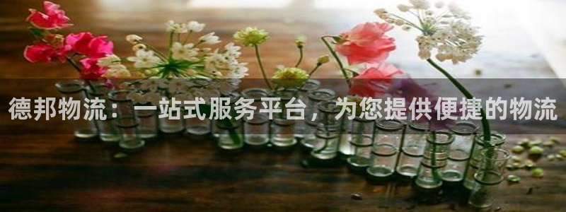 28圈相信品牌的力量:德邦物流:一站