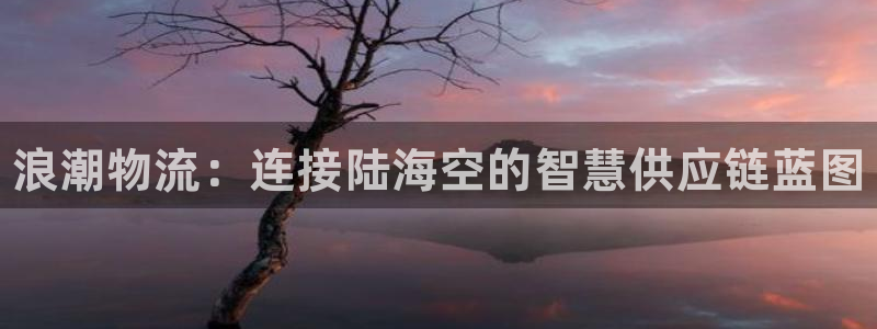 28圈提款一直没到:浪潮物流:连接陆