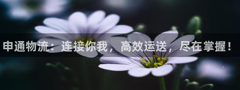 28圈机器人是什么软件：申通物流：连接你我，高效运送，尽在掌