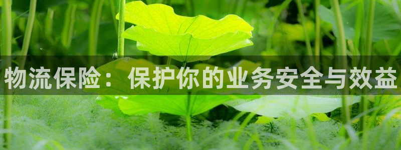 28圈软件是什么：物流保险：保护你的业务安全与效益