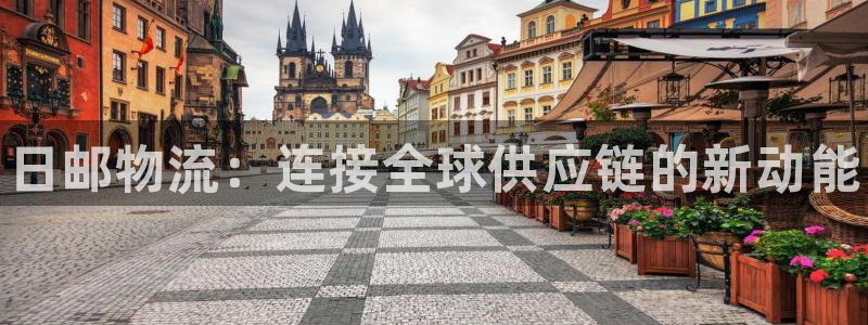 28圈注册问一问：日邮物流：连接全球