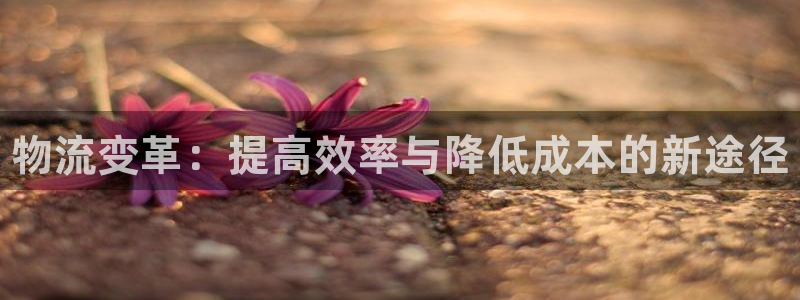 28圈客服电话：物流变革：提高效率与