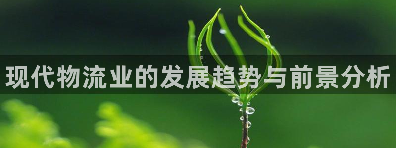 28圈p图上分下款通道：现代物流业的