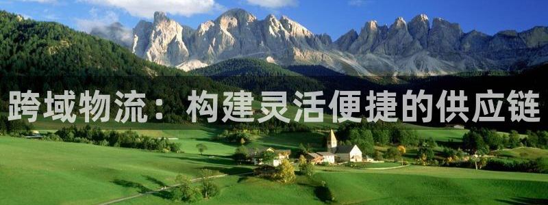 28圈软件：跨域物流：构建灵活便捷的