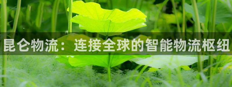 28圈模拟器下载：昆仑物流：连接全球