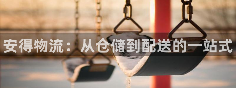 28圈.ccm官网：安得物流：从仓储