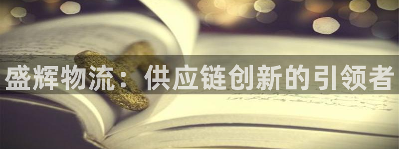 28圈p扣除是什么意思：盛辉物流：供