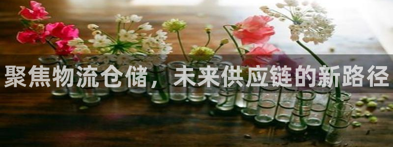 28圈加拿大模拟器：聚焦物流仓储，未