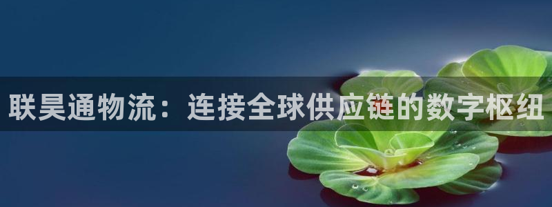 28圈的自行车：联昊通物流：连接全球