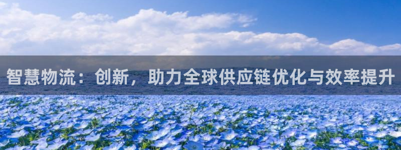 28圈pg麻将胡了：智慧物流：创新，