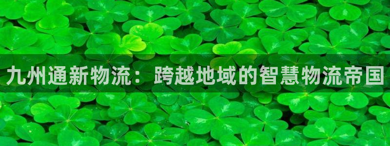28圈的平台：九州通新物流：跨越地域的智慧物流帝国