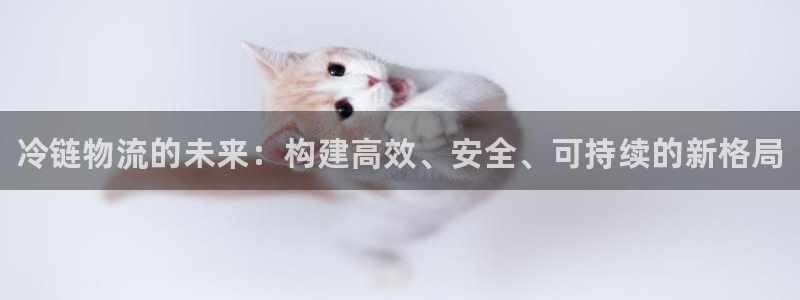 28圈注册网站：冷链物流的未来：构建