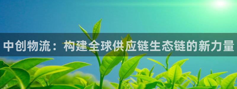 28圈为什么没有赢过一次：中创物流：