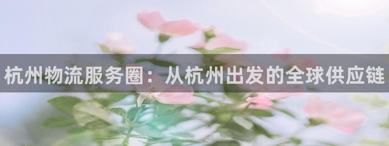 28圈加拿大pc预测：杭州物流服务圈