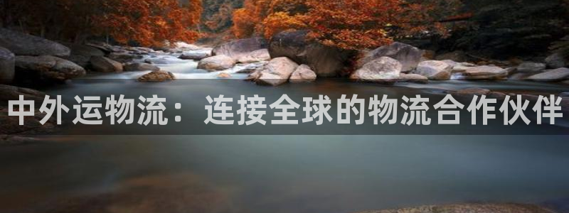 28圈反水怎么算：中外运物流：连接全