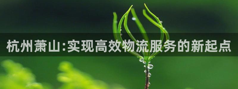 28圈登陆网：杭州萧山:实现高效物流