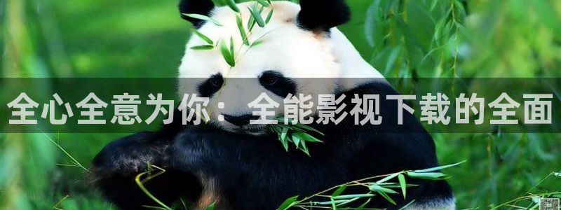 国产探花视频网站：全心全意为你：全能影视下载的全面