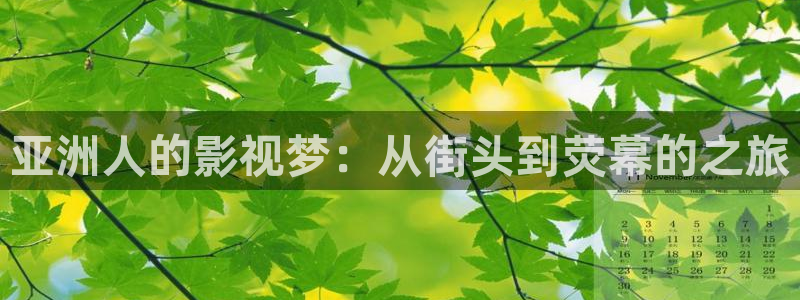 外围探花在线视频：亚洲人的影视梦：从街头到荧幕的之旅