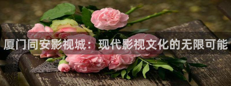 国产视频探花一区：厦门同安影视城：现代影视文化的无限可能