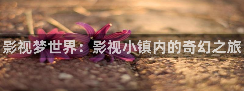 探花视频观看地址