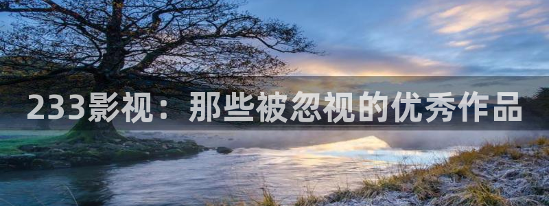 探花视频在线观看免费：233影视：那些被忽视的优秀作品
