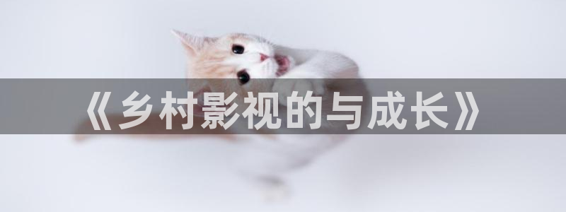 探花精品：《乡村影视的与成长》