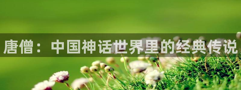探花系列在线观看免费视频www：唐僧：中国神话世界里的经典传说